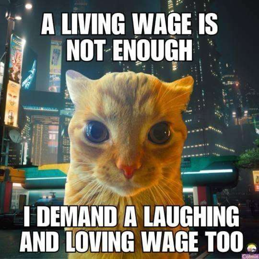 A living wage is not enough
[Silly cat pic]
I demand a laughing and loving wage too.