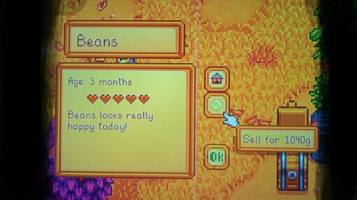 Side Bar Bean Herder