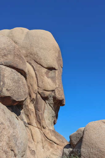 A view of Face Rock in profile. Out of all of the face and man-named geologic features I've seen, this is the most clearly defined one.