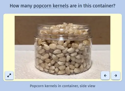 A screenshot of the daily game Estimate Me showing a picture of a container filled with popcorn kernels